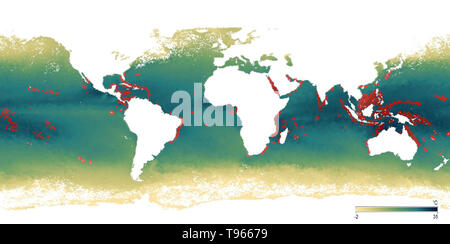 Karte zeigt die ungefähre Lage der wichtigsten Korallenriffe (rot). Außerdem abgebildet sind Oberflächentemperatur von Dezember 2017, mit Grün und Blau, die heißesten. Von 2014 bis 2017, steigende Wassertemperaturen verursacht haben das Schlimmste Korallenbleiche auf Aufzeichnung, mit über 70 Prozent der Riffe zu beschädigen. Wenn Korallen sind durch Änderungen der Bedingungen wie Temperatur, Licht, oder Nährstoffen betonte, sie vertreiben die symbiotische Algen leben in ihrem Gewebe, wodurch sie komplett weiß zu drehen. Stockfoto