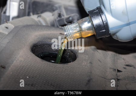 Mechatronik Öl nachfüllen nach dem Ölwechsel im Auto Stockfoto