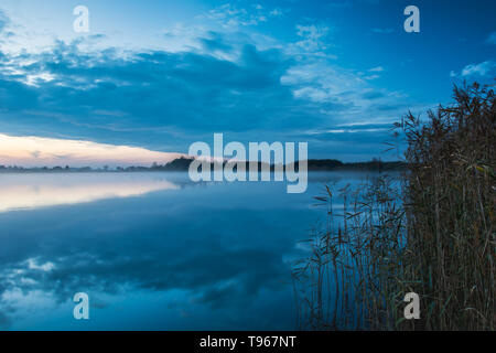 Schilf am Ufer des Sees, am Abend Nebel und Wolken im Wasser widerspiegelt. Stockfoto