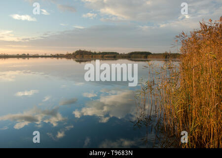 Kleine Nebel am Morgen, trocken Wasser, Schilf und Reflexion von Wolken in der See Stockfoto