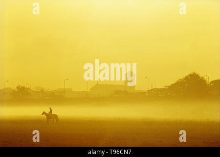 Ein BLICK AUF DIE RENNSTRECKE, Mumbai, Maharashtra, Indien, Asien Stockfoto