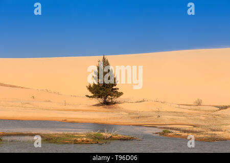 Sanddünen in der Nähe von Phan Rang, Ninh Thuan, Vietnam, Asien Stockfoto