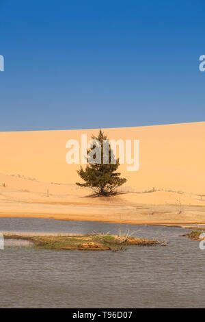 Sanddünen in der Nähe von Phan Rang, Ninh Thuan, Vietnam, Asien Stockfoto