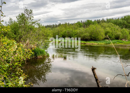 Little Spokane River an der Painted Rocks Stockfoto