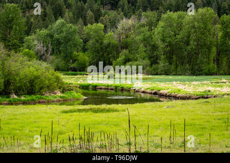 Little Spokane River an der Painted Rocks Stockfoto