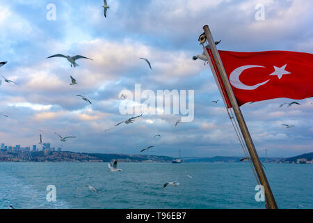 Winkende türkische Flagge über dem Meer mit Möwen fliegen hinter sich Stockfoto