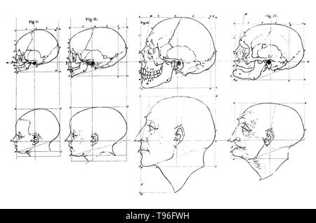 Petrus Camper (Mai 11, 1722 - April 7, 1789) war ein niederländischer Arzt, Anatom, Physiologe, Hebamme, Zoologe, Anthropologe, Paläontologe und Naturforscher. Auf der ersten Leinwand den Kopf eines Kindes, der Kopf eines erwachsenen Mannes, und der Kopf eines alten Mannes waren mit ihren Schädel über Ihnen gezeigt, die alle im Profil. Gesichtsbehandlung Winkel bezieht sich auf den Inhalt der beiden Vorlesungen von Petrus Camper am 1. August und 8. im Jahr 1770 an die Amsterdamer Zeichnung Akademie. Stockfoto