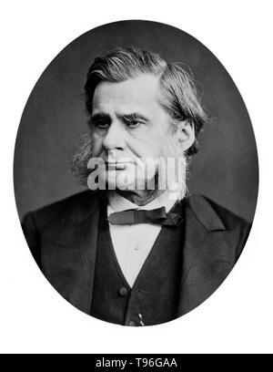 Thomas Henry Huxley (4. Mai 1825 - 29. Juni 1895) war ein englischer Biologe, als 'Darwin Bulldogge' für seine Befürwortung von Charles Darwins Theorie der Evolution bekannt. Huxleys berühmte 1860 Aussprache mit Samuel Wilberforce war ein wichtiger Moment in der breitere Akzeptanz der Evolution, und in seiner eigenen Karriere. Huxley war langsam zu einigen von Darwins Ideen, wie Gradualismus akzeptieren, und war unbestimmt über die natürliche Selektion, aber trotz dieser war er in seinen öffentlichen Unterstützung von Darwin von ganzem Herzen. Stockfoto