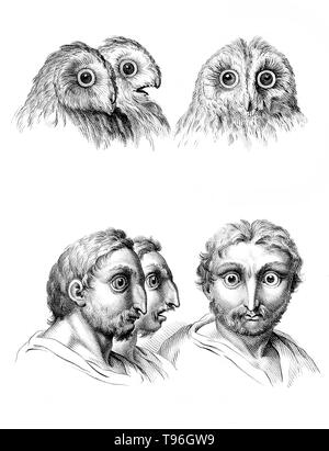 Das Ziel der Physiognomie Charakter ist nach Funktionen des Gesichts zu beurteilen. Charles Le Brun (Februar 24, 1619 - Februar 12, 1690) war ein französischer Maler, Kunsttheoretiker, Raumausstatter und Maler Louis XIV. Stockfoto