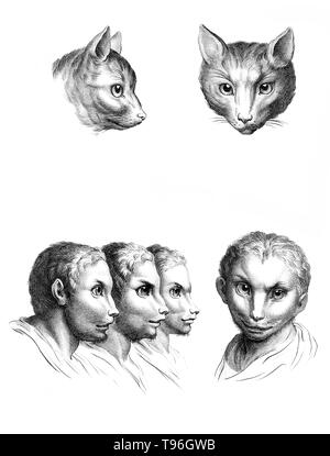 Das Ziel der Physiognomie Charakter ist nach Funktionen des Gesichts zu beurteilen. Charles Le Brun (Februar 24, 1619 - Februar 12, 1690) war ein französischer Maler, Kunsttheoretiker, Raumausstatter und Maler Louis XIV. Stockfoto