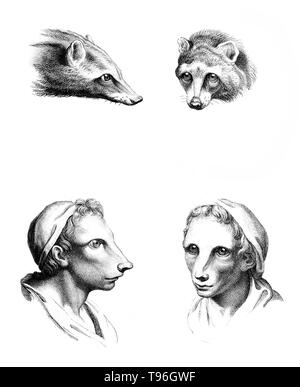 Das Ziel der Physiognomie Charakter ist nach Funktionen des Gesichts zu beurteilen. Charles Le Brun (Februar 24, 1619 - Februar 12, 1690) war ein französischer Maler, Kunsttheoretiker, Raumausstatter und Maler Louis XIV. Stockfoto