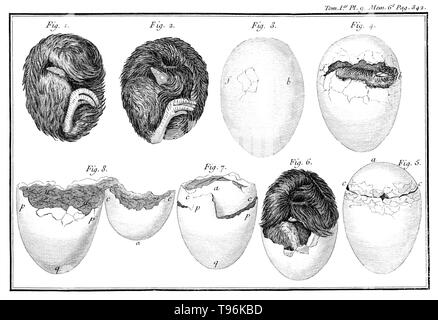 Geflügel Brutei Prozess. Platte 9, Seite 342. René Antoine Ferchault de Réaumur (Februar 28, 1683 - Oktober 17, 1757) war ein französischer Wissenschaftler, der in vielen verschiedenen Bereichen, insbesondere der Untersuchung von Insekten beigetragen. Im Jahre 1699 studierte er Bürgerliches Recht und Mathematik. Im Jahre 1703 ging er nach Paris, wo er das Studium der Mathematik und Physik fort, und im Jahre 1708 gewählt wurde, im Alter von 24 Jahren, ein Mitglied der Académie des Sciences. Stockfoto