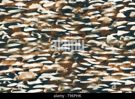 Aquarell nahtlose Muster mit Pinselstrichen, Streifen und verschwommene Flecken. Stockfoto