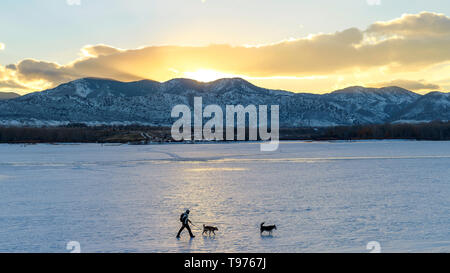 Wandern auf dem gefrorenen Bergsee - ein Wanderer, mit zwei Hunden, Wandern auf schneebedeckten zugefrorenen Bear Creek See an einem kalten Winterabend. Denver-Lakewood, Co. Stockfoto