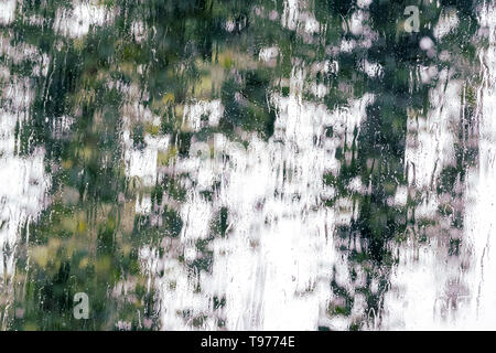 Strömenden Regen über die Fenster während eines Sturms; verschwommen Baum im Hintergrund sichtbar; abstrakt Hintergrund Stockfoto