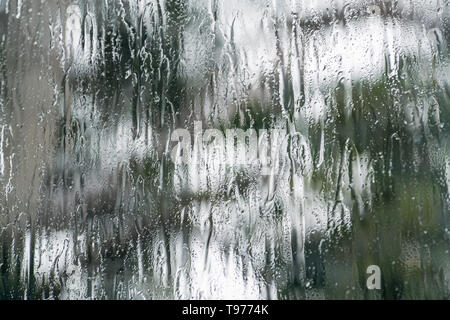 Strömenden Regen über die Fenster während eines Sturms; verschwommen Baum im Hintergrund sichtbar; abstrakt Hintergrund Stockfoto