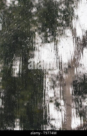 Strömenden Regen über die Fenster während eines Sturms; verschwommen Baum im Hintergrund sichtbar; abstrakt Hintergrund Stockfoto