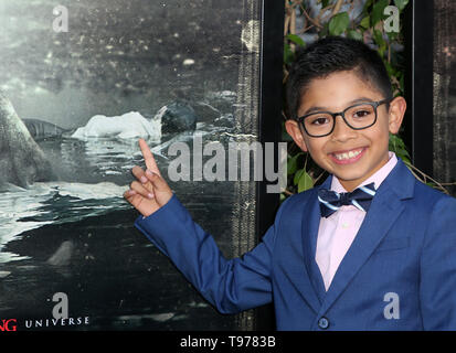 Premiere von Warner Bros.'' Der Fluch von La Llorona' Mit: Jayden Valdivia Wo: Hollywood, California, United States Wenn: 15 Apr 2019 Credit: FayesVision/WENN.com Stockfoto