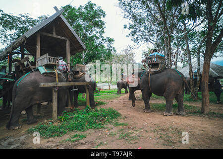 Laos. Luang Prabang. - 15 Januar 2019 Touristen reiten auf Elefanten Stockfoto