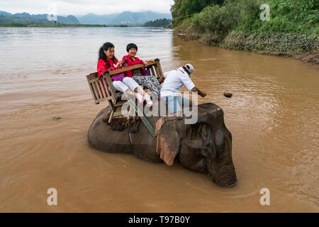 Chinesische Touristen gehen Sie auf Elefanten Trekking. Laos. Luang Prabang - 15. Januar 2019 Stockfoto