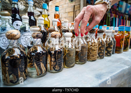 Flasche Cobra und Scorpion Schnaps. Laos. Luang Prabang - 15. Januar 2019 Stockfoto