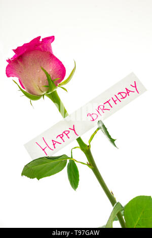 Happy birthday Karte auf schöne rosa Rose. Auf weissem Hintergrund. Stockfoto