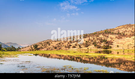 Landschaft im Ranthambore Nationalpark, Rajasthan, Indien Stockfoto