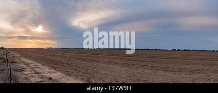 Mai 2019, Burren Junction, Australien: Sonnenuntergang und drohenden Regenwolken über einen großen Flachbild gepflügt Fahrerlager auf einem Bauernhof in der westlichen NSW Dürre betroffen Stockfoto