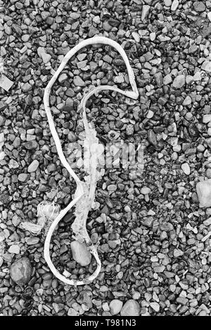 Bild des gefundenen Objekts auf Stein Steine Stockfoto