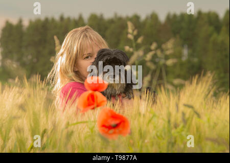 Im Kornfeld ist eine blonde Frau und Knuddel mit einem schwarzen Rasse Hund Tibet Terrier. Romantische Sonnenlicht und Mohn.