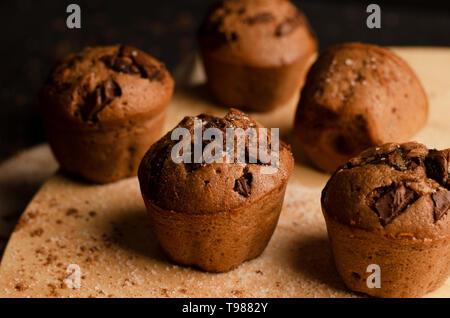 Schoko Cupcakes mit Chocolate Chips auf einem dunklen Hintergrund. Handgefertigt. Stockfoto