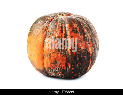 Herbst bunte Grün Orange natürliche Kürbisse auf weißem Hintergrund Stockfoto