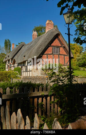 Anne Hathaway's Cottage im hellen Sonnenschein eines englischen Frühling Tag mit blauen Himmel. Shottery, Stratford-upon-Avon, England, Vereinigtes Königreich, Europa Stockfoto