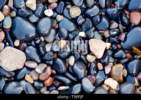 Natürlichen Hintergrund von Gerundeten Schwarz nassen Kieselsteinen am Strand von Crail, Fife, Schottland, Großbritannien. Stockfoto