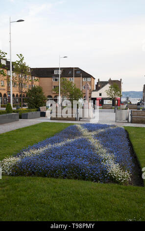 Garten angelegt mit Vergissmeinnicht in Blau und Weiß in der Form der schottische Flagge, oder St Andrews Cross, Helensburgh, Schottland Stockfoto