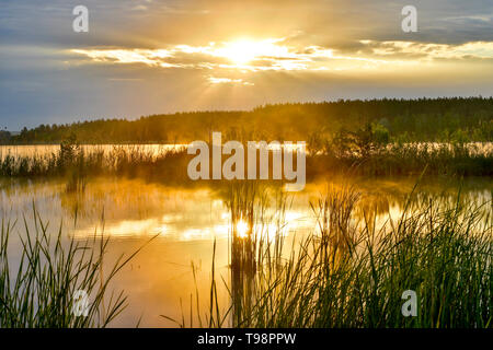 Morgennebel am See in der Sonne. Stockfoto