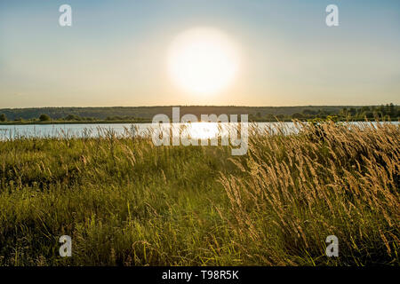 Eine wüste Landschaft mit einem großen ungefilterte Sonne, ein See in der Ferne und Coastal Vegetation im Vordergrund. Stockfoto