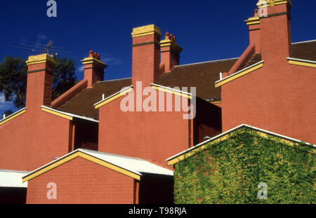 Ansicht der Rückseite des bunten INNERSTÄDTISCHE REIHENHÄUSER, Sydney, Australien. Stockfoto
