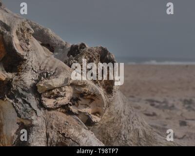 Northumberlands zauberhafte Küste Stockfoto