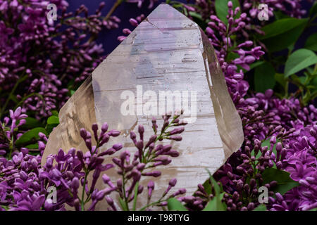 Riesige natürliche Citrin Kathedrale Quarz aus Brasilien, die durch violette Flieder Blumen umgeben. Stockfoto