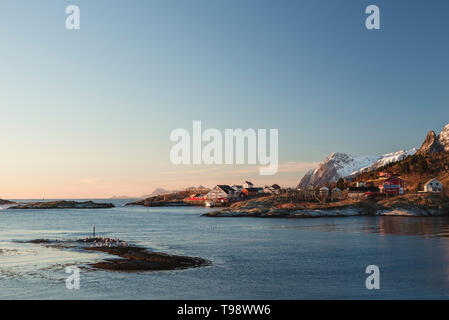 Rote und weiße Holzhäuser an der Küste in der Nähe von Reine kurz nach Sonnenaufgang, Lofoten, Nordland, Norwegen Stockfoto