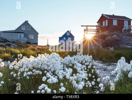 Dorf in der Diskobucht im Hochsommer, Grönland Stockfoto