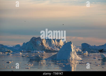 Eisberge in der Diskobucht auf Mittsommer, Grönland Stockfoto