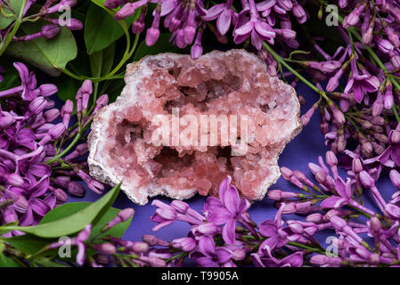 Seltene rosa amethyst Geode Cluster aus Patagonien, Argentinien. Von Lila Lila Blumen umgeben. Stockfoto