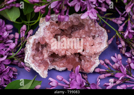 Seltene rosa amethyst Geode Cluster aus Patagonien, Argentinien. Von Lila Lila Blumen umgeben. Stockfoto