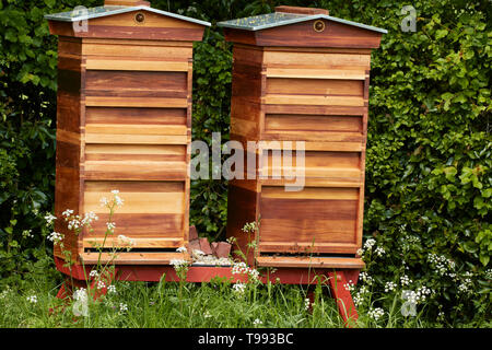 Bienenstöcke auf dem Gelände des Anne Hathaway's Cottage, Shottery, Stratford-upon-Avon, England, Vereinigtes Königreich, Europa Stockfoto