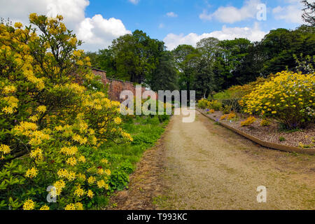 Wortley Hall Mansion und Gärten in Yorkshire, Großbritannien Stockfoto