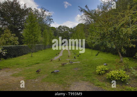 Wortley Hall Mansion und Gärten in Yorkshire, Großbritannien Stockfoto