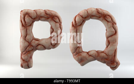 3D-Render von Gehirn Alphabet (Buchstaben und Zahlen) auf weißem Hintergrund, einschließlich freistellungspfaden. Stockfoto