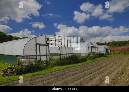 Wortley Hall Mansion und Gärten in Yorkshire, Großbritannien Stockfoto